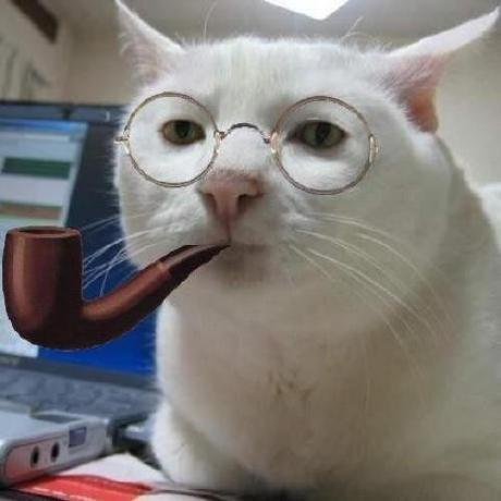 Котик со слезами на глазах