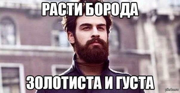 Мемы про бороду