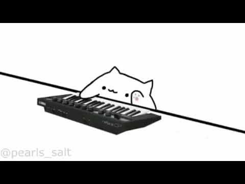 Бонго Кэт пианино