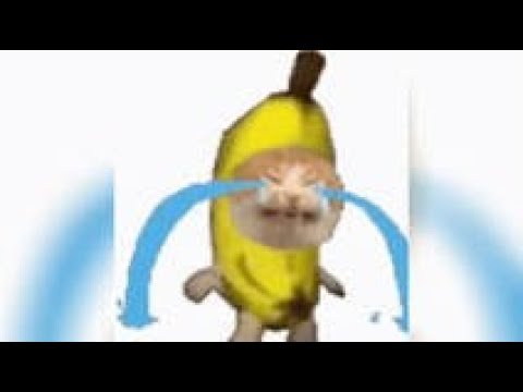 Котик в банане Мем