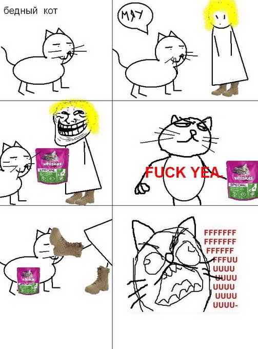 Бедные коты Мем