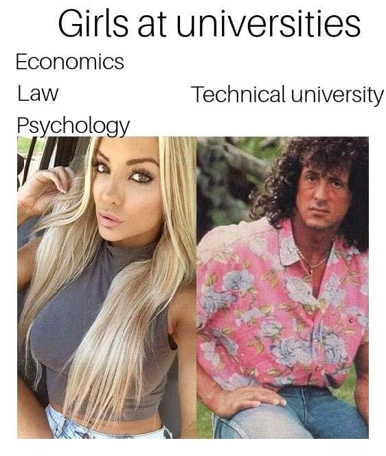 Девушки в техническом вузе Мем
