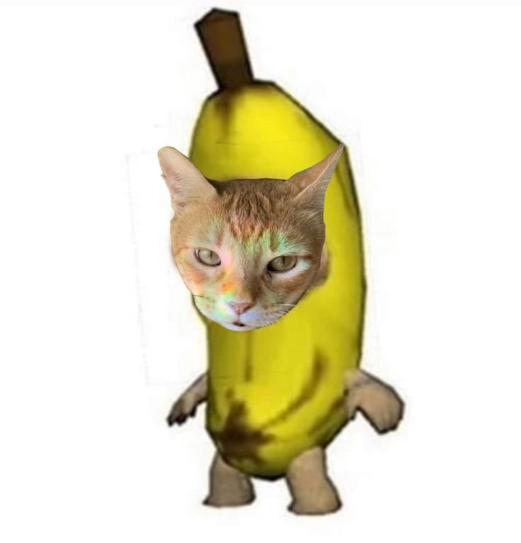 Banana Cat crying
