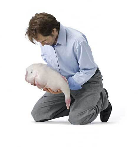 Патриция Пиччинини скульптуры