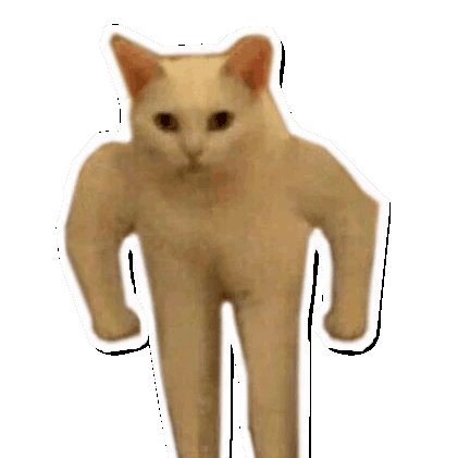 Кот для фотошопа