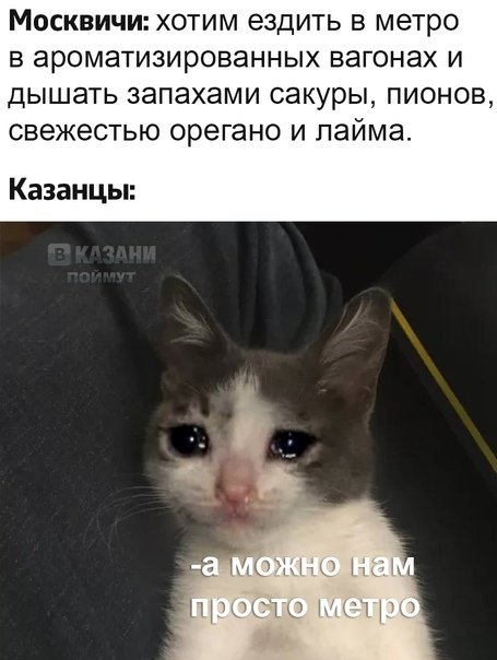 Бедные коты Мем