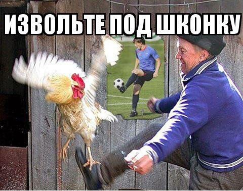 Пнул петуха