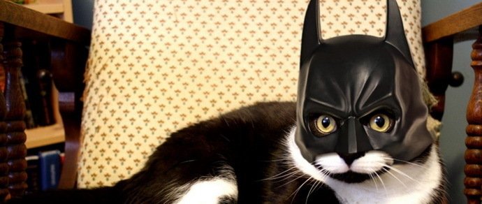 Бэтмен спасает