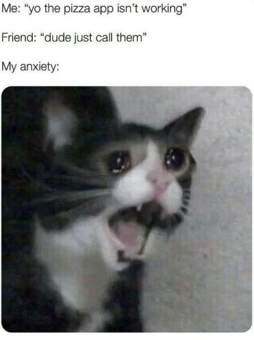 Кот орет и плачет