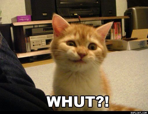 Котик ухмыляется Мем