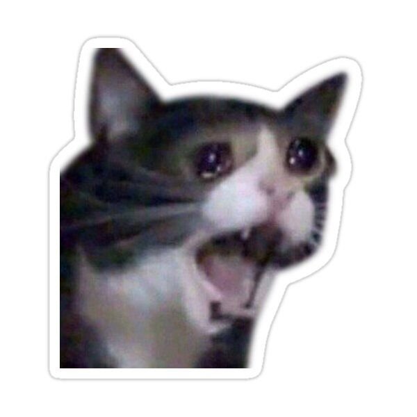 Плачущий кот