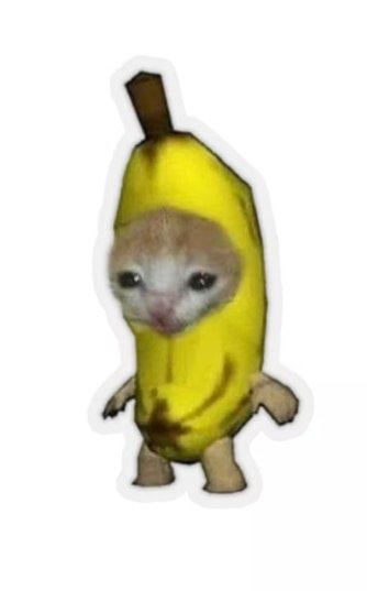 Котик в костюме банана