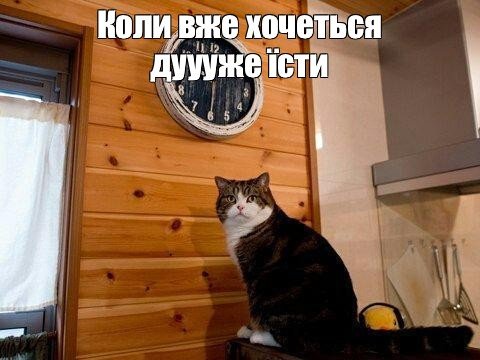 Кажется я опоздал кот Мем
