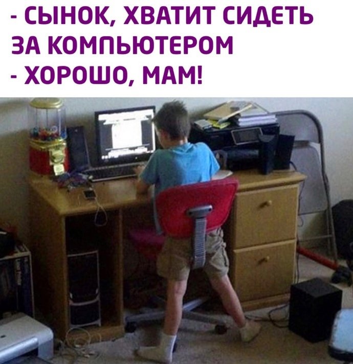 Сидит за компьютером смешно