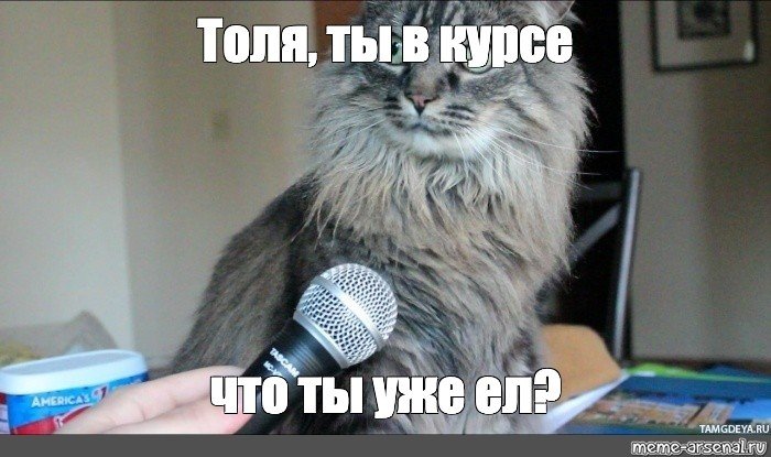 Кот с микрофоном