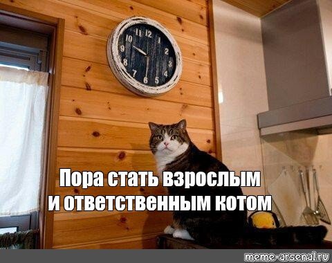 Мем кот пора
