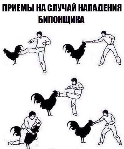 Приёмы самозащиты от нападения