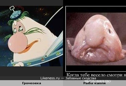 Рыба капля из мультфильма