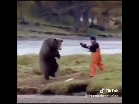 Мужик пинает медведя