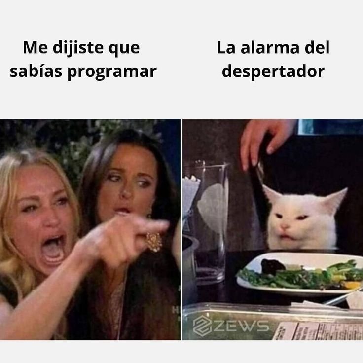 Женщина орет на кота