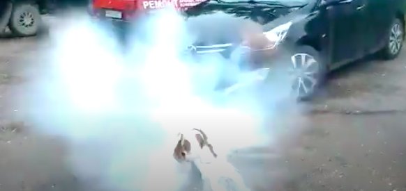 Джек Рассел и пивная кега