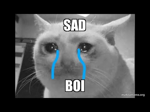 Котик плачет Мем