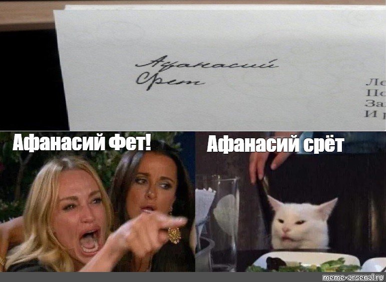 Женщина орет на кота