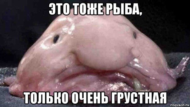 Рыба Мем