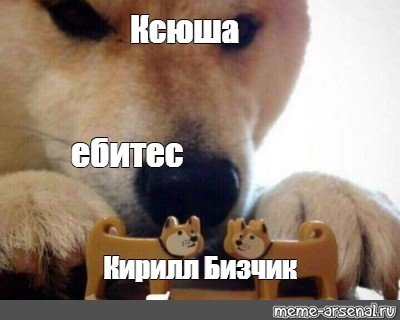Мем пес ебитес