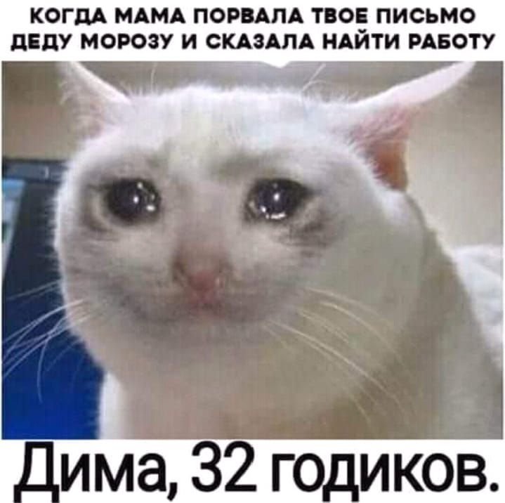 Кот плачет Мем