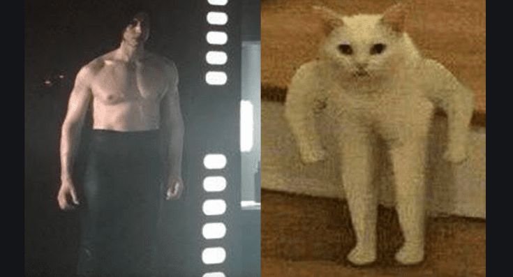 Кот качок Мем