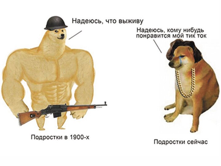 Размер собаки