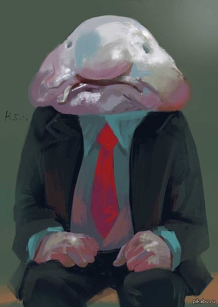 Психролютовые рыба-капля