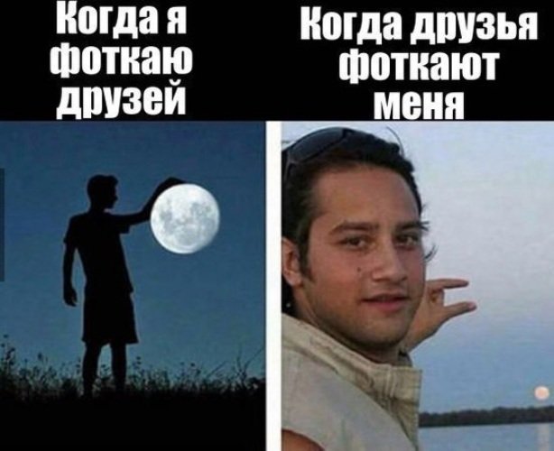 Лучшие друзья мемы