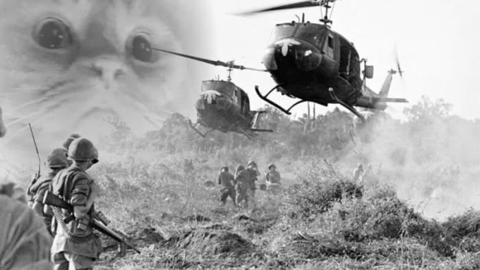Вьетнам флешбеки