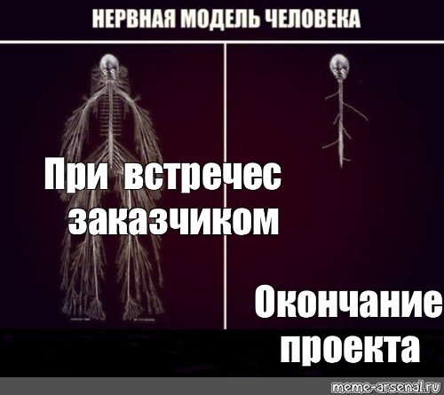 Вы нервный человек