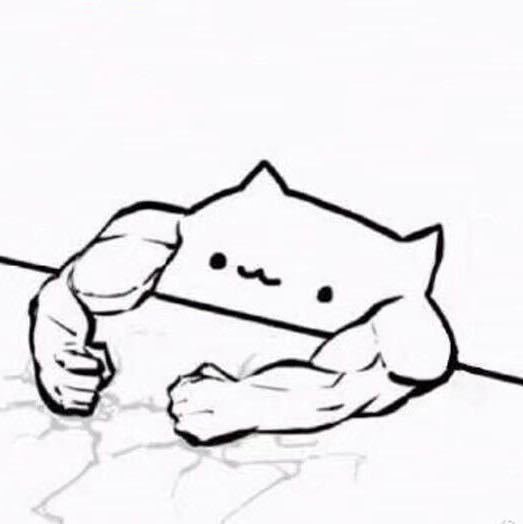 Накаченный котик