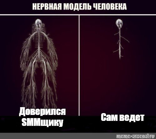 Нервная система Мем