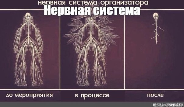 Нервная система