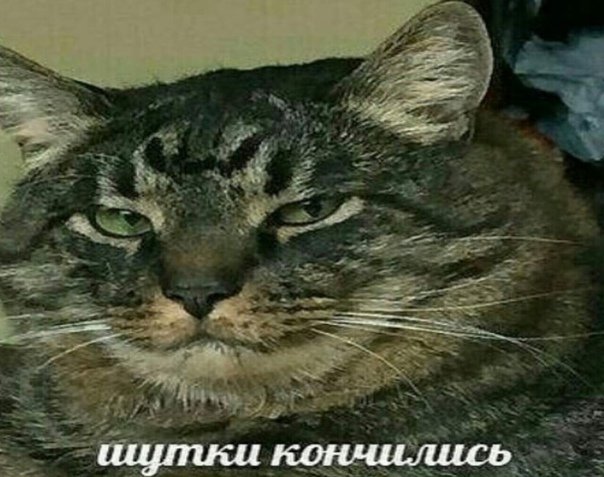 Приколы кончится