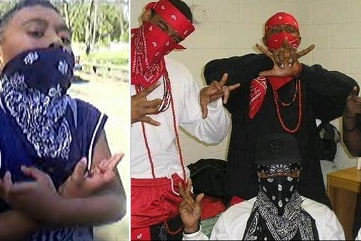 Крипс и бладс