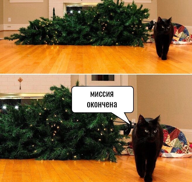Кот свалил елку