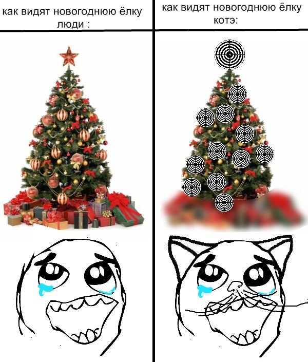 Мемы про новогоднюю елку