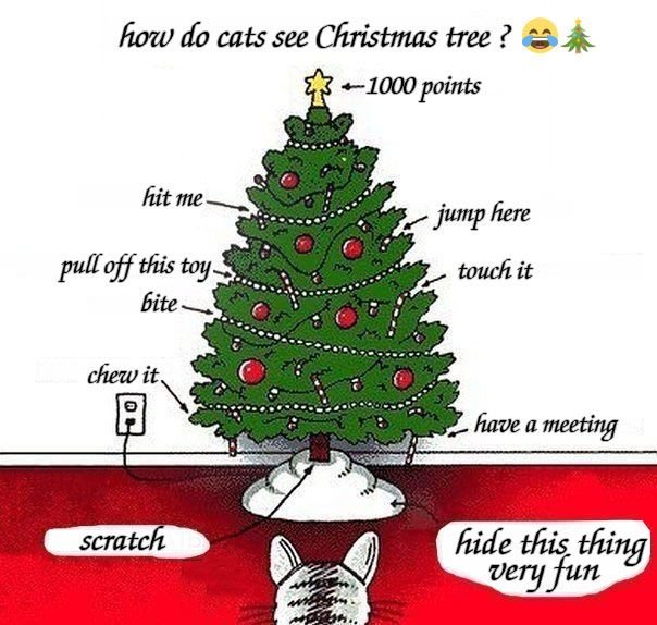 Кот и елка приколы