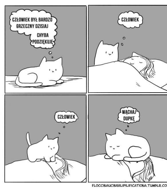 Комиксы с котиками