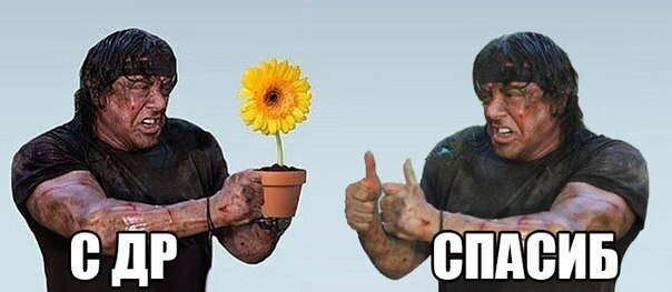 Сильвестр Сталлоне Рембо приколы