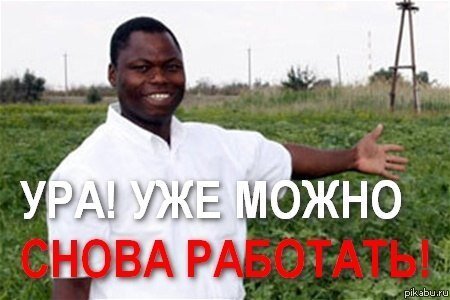 Негры на работе