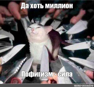 Коты с ножами