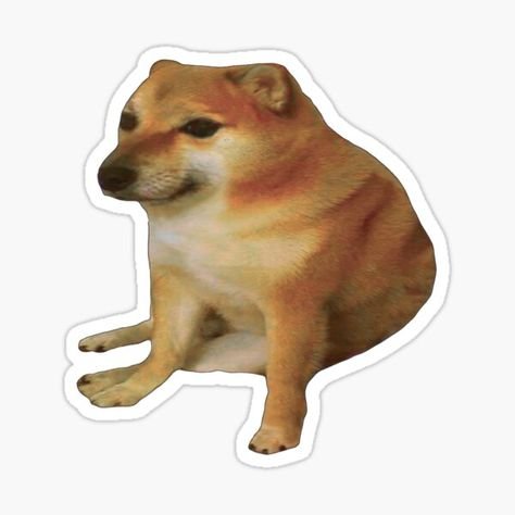Шиба ину Doge