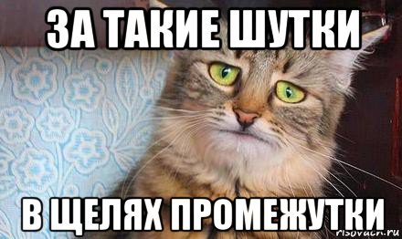 За такие шутки в зубах промежутки